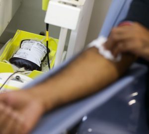 Doar sangue é seguro? Veja mitos e verdades sobre esse ato que salva vidas