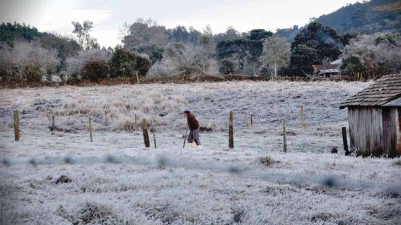 SC poderá registrar frio histórico? O que se sabe sobre a possibilidade de neve no estado - JDV