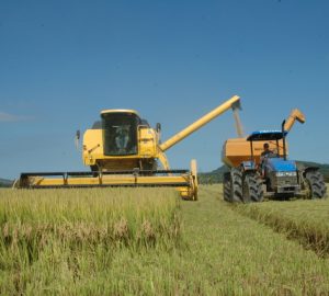 Pequeno produtor rural terá mais suporte, diz presidente do BB