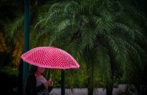 Semana em SC terá chuva e sol entre nuvens