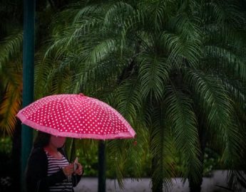 Semana em SC terá chuva e sol entre nuvens