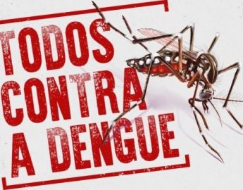 Em época de dengue, especialistas reforçam quais são os cuidados necessários