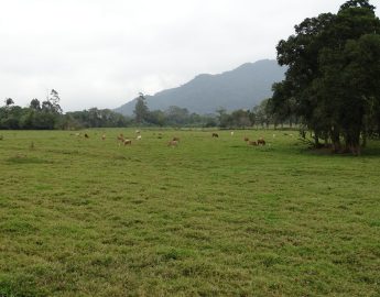 Câmara discute projeto que disciplina atividades em área rural