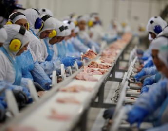 SC tem crescimento de 11% nas exportações de carnes e abre novo mercado no México