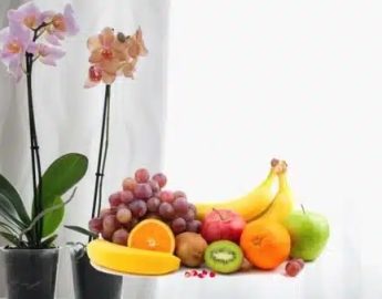 Conheça 7 frutas que aumentam o sistema imunológico