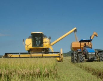 Epagri/Cepa prevê recuo de 1,07% na safra 2022/23 do arroz