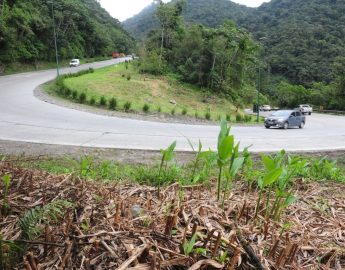 Após bloqueio da BR-376, Serra da Dona Francisca é interditada parcialmente