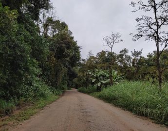 Autorizada a licitação para a pavimentação da Rota das Cachoeiras