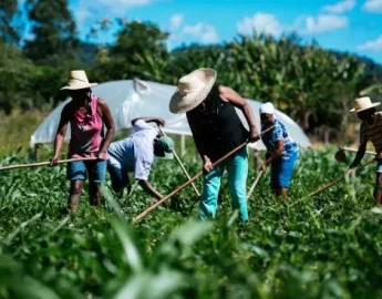 500 PEQUENOS AGRICULTORES PODEM PERDER SUAS TERRAS NO SUL