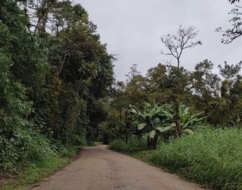 Pavimentação da Rota das Cachoeiras é definida