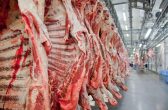 Exportações de carne bovina batem recorde em fevereiro