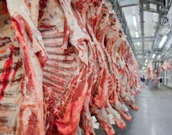 Exportações de carne bovina batem recorde em fevereiro