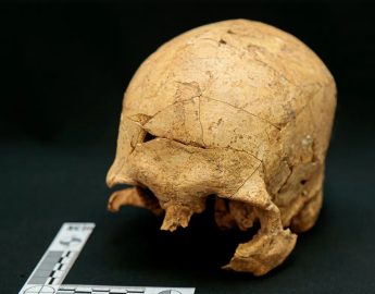 Esqueleto humano de 10 mil anos é encontrado no Brasil; descoberta pode mudar o caminho das pesquisas