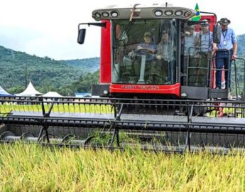 Preço do arroz ao produtor se manteve com bom valor na safra passada