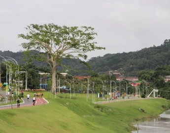 Conheça o parque que alaga de propósito para evitar estragos das enchentes em SC