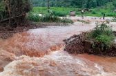 Rio Grande do Sul : desastre climático deve elevar preços dos alimentos