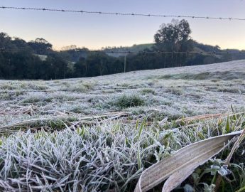 Previsão do tempo: Santa Catarina pode ter neve e chuva congelante entre a noite desta terça e madrugada de quarta-feira