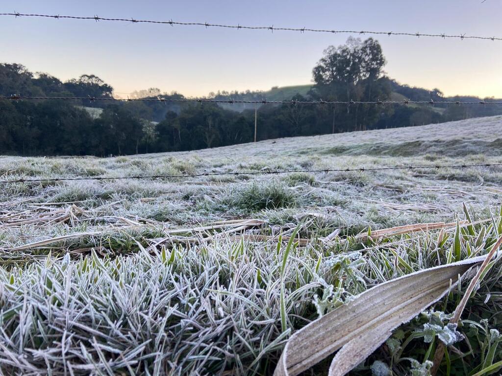 Previsão do tempo: Santa Catarina pode ter neve e chuva congelante entre a noite desta terça e madrugada de quarta-feira