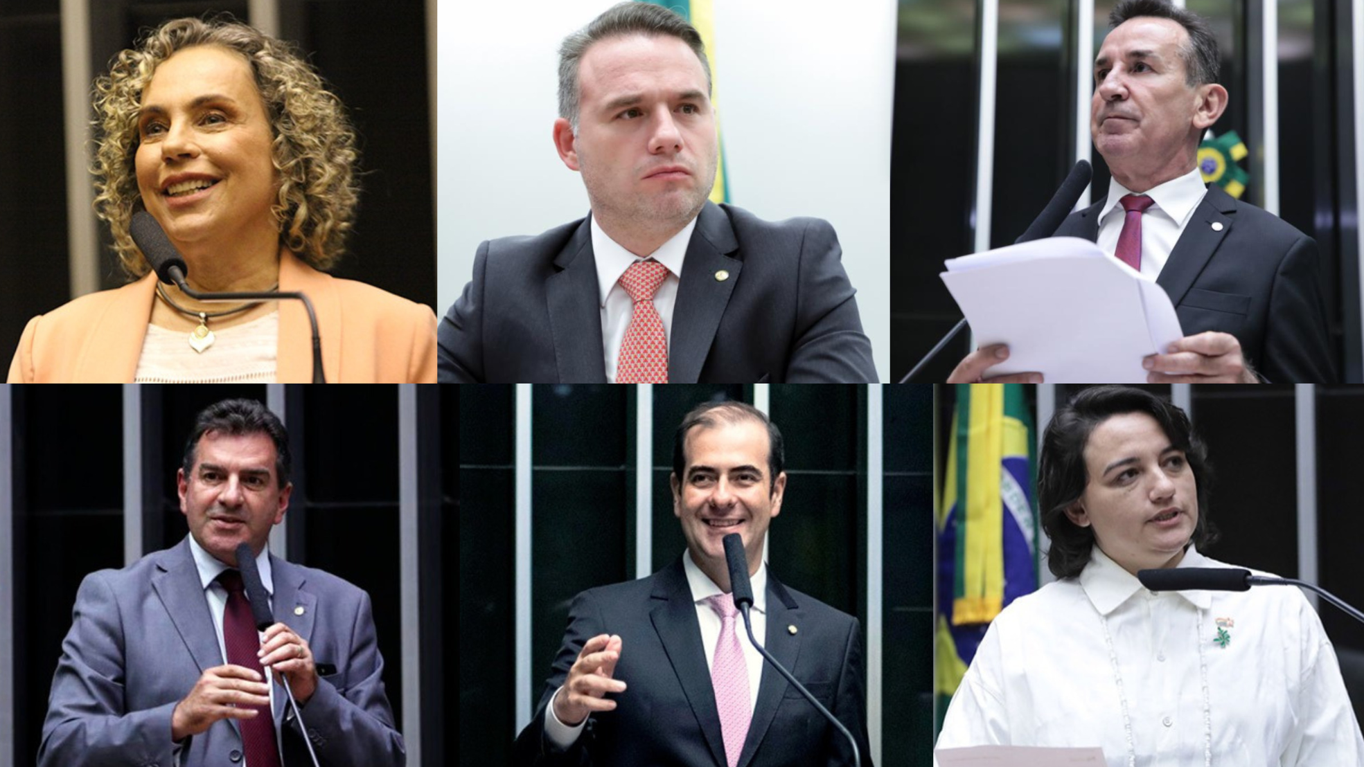 Descubra a posição dos deputados de Santa Catarina