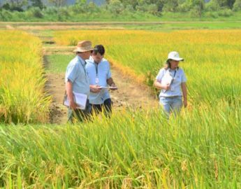 Epagri mostra retorno de investimentos em ações