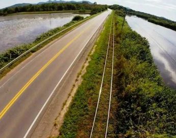 Política e Políticos – Ponte ou aterro?