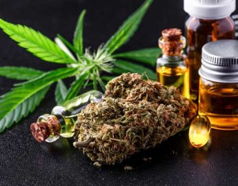 Uso medicinal da cannabis é aprovada na Comissão de Saúde da Alesc