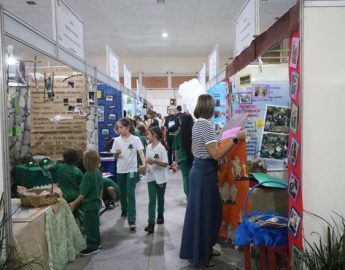 Feiras de Educação Matemática e de Ciência e de Tecnologia