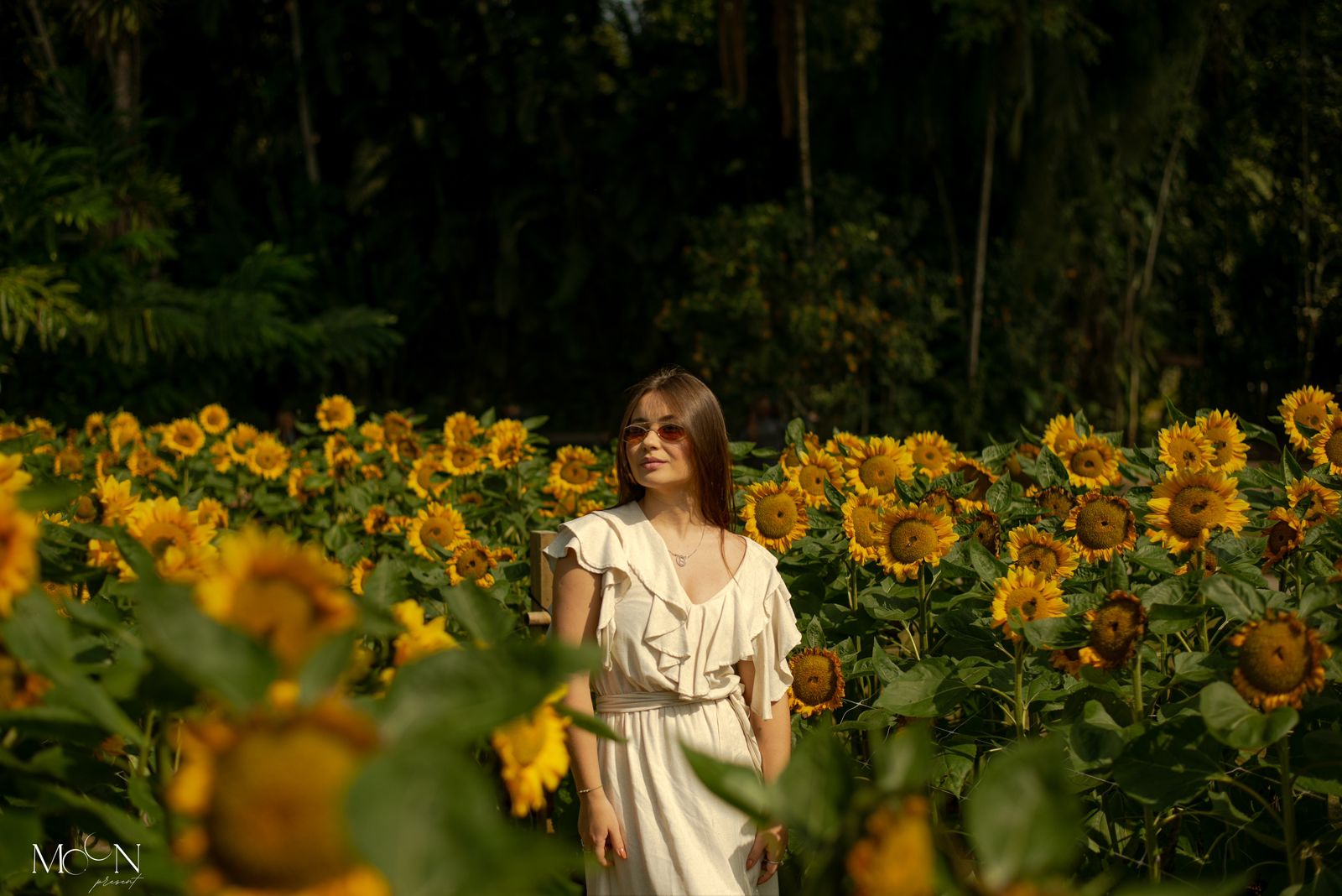 Bruna em meio aos girassóis do Parque Hemero em Joinville