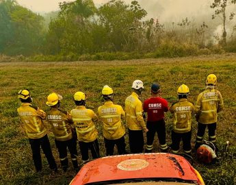 Bombeiros de Santa Catarina reforçam combate às queimadas no Pantanal