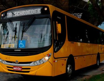 Sete linhas farão transporte gratuito de eleitores pela Viação Canarinho