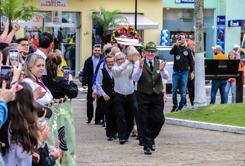 desfile 