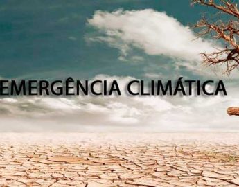 Municípios promovem Conferência do Meio Ambiente e Emergência Climática