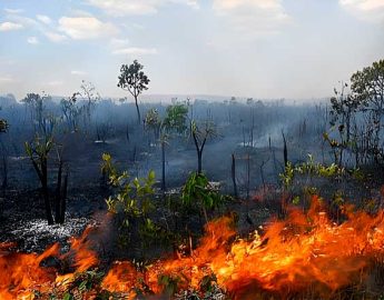 Região prepara a Conferência Intermunicipal do Meio Ambiente para o mês de novembro