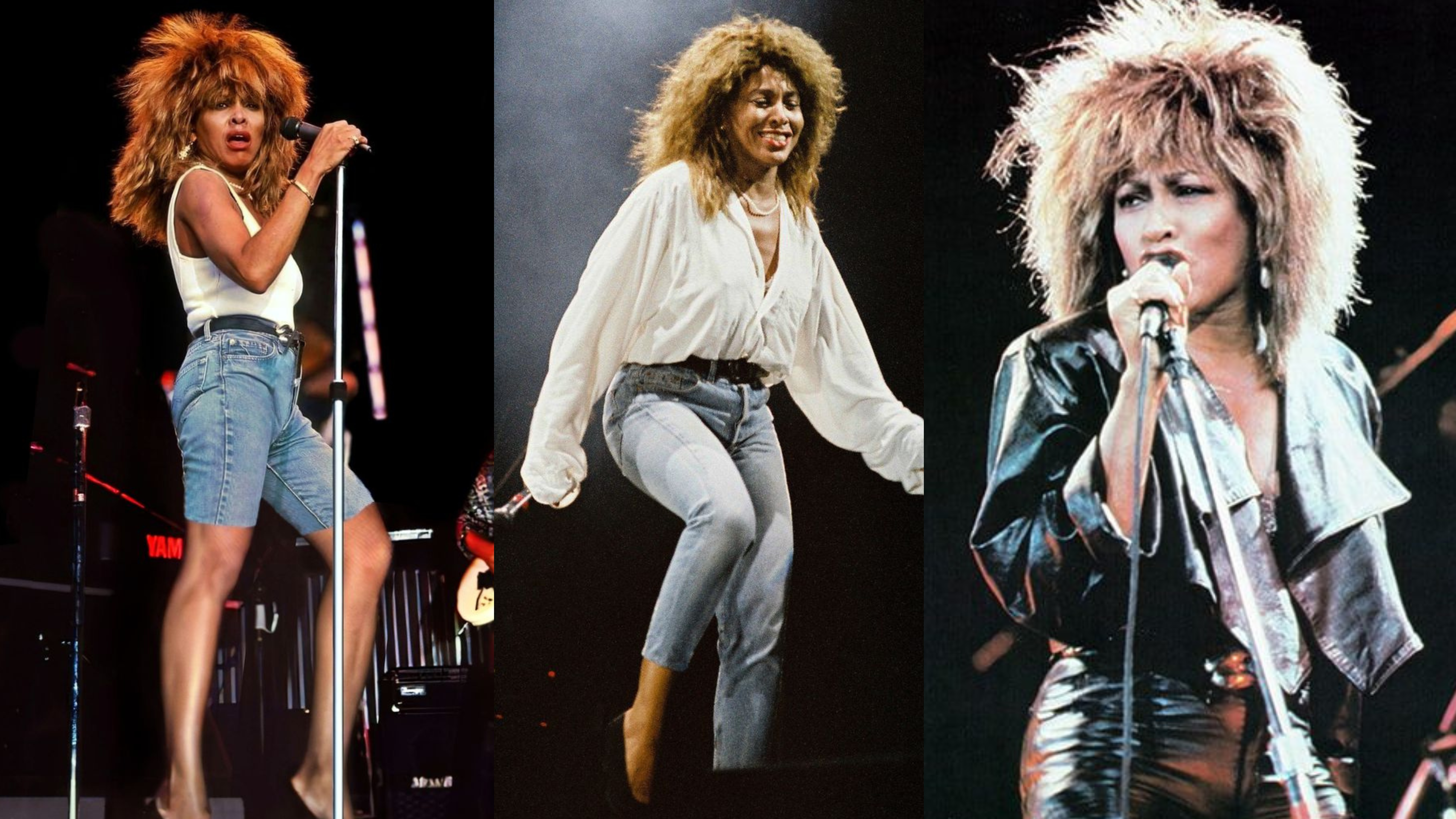 Tina Turner outfit