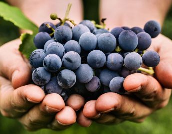 Por que comer uvas na virada do ano é símbolo de sorte?