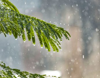 Previsão do Tempo: períodos de chuva até o fim de semana