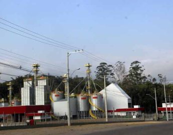 Colheita do arroz já está acontecendo em todo o litoral Norte de Santa Catarina