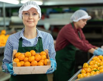 Brasil exportou 1 milhão e 94 mil toneladas em 2024; para onde vão as frutas brasileiras?