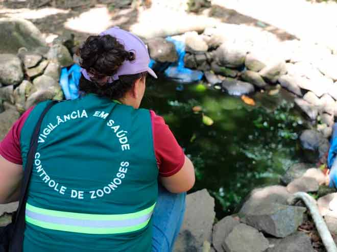 Vigilância epidemiológica intensifica