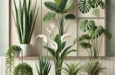 6 plantas que filtram toxinas do ar