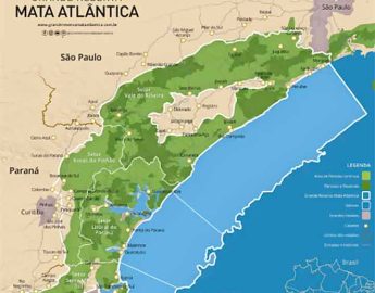 Treze municípios de SC integram a Grande Reserva Mata Atlântica