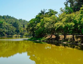 Programação especial no Dia Mundial da Água no Parque Malwee